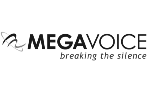 MegaVoice